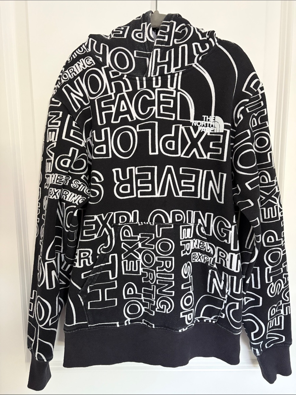 North Face Hooded Sweatshirt Boys Size Medium (10)